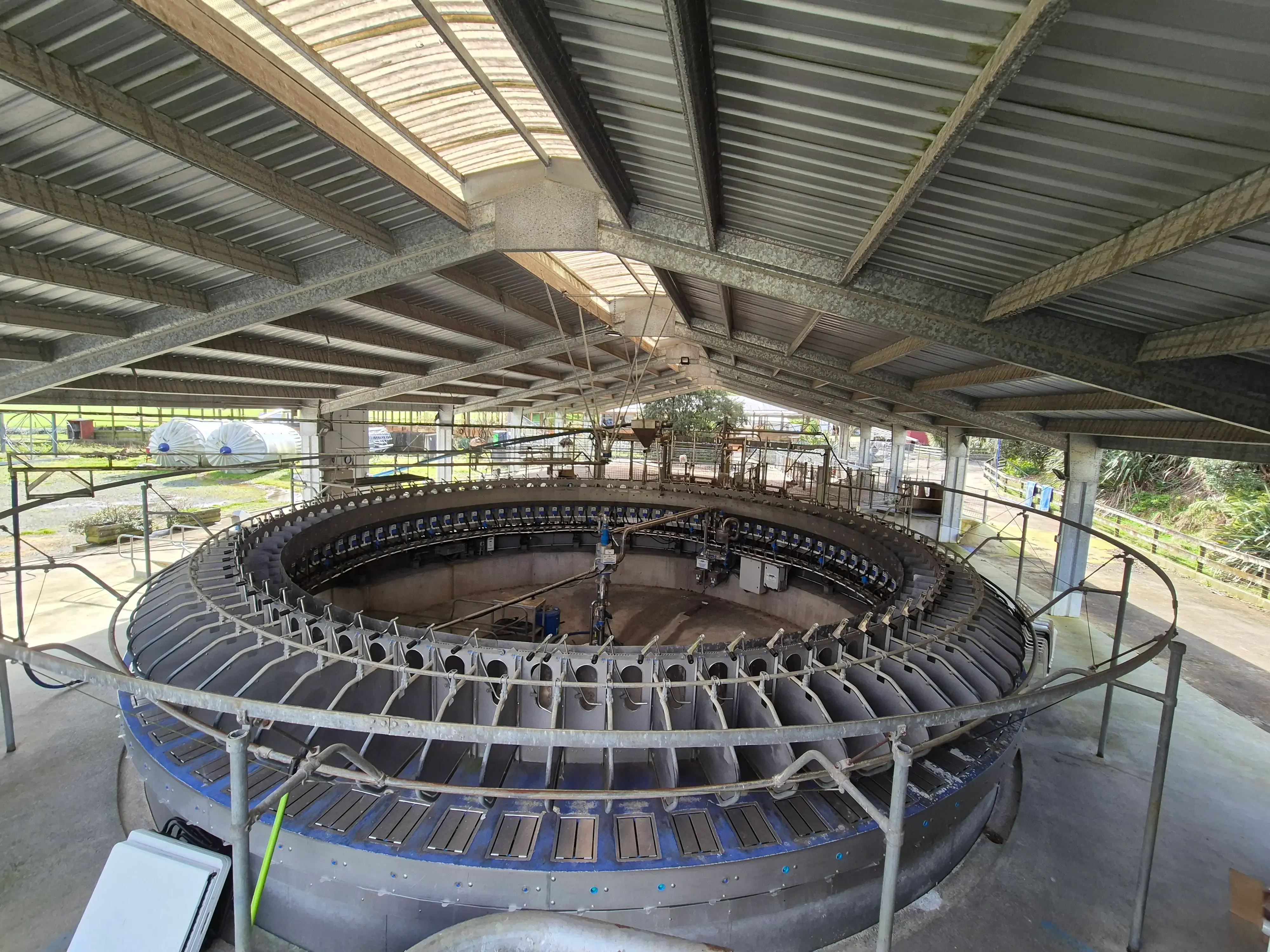 Goat Rotary Milking Plant